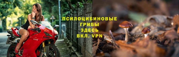 спайс Мегион