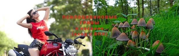 мескалин Медногорск