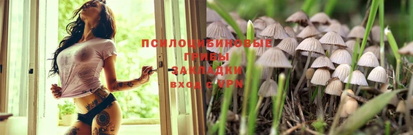 спайс Мегион