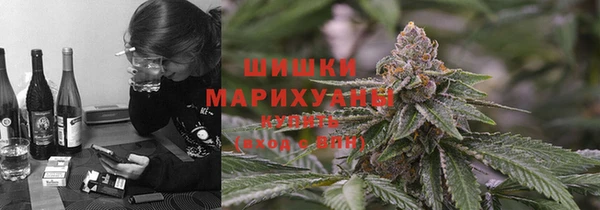 спайс Мегион