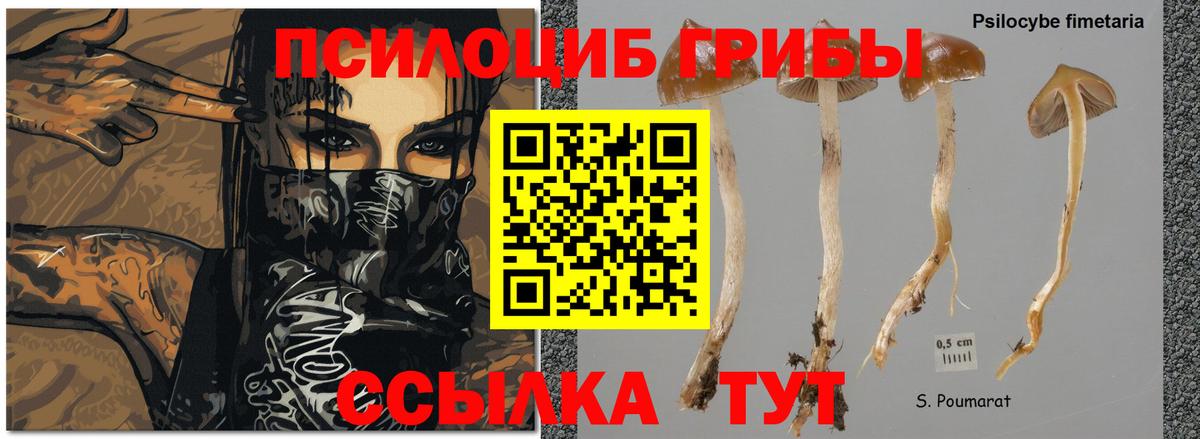 Симферополь  Галлюциногенные грибы мицелий  Вход с VPN  Галлюциногенные грибы мухоморы 
