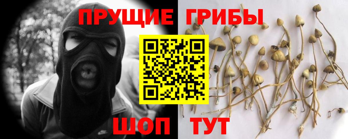 Псилоцибиновые грибы GOLDEN TEACHER  Симферополь 